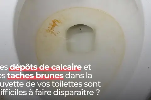 Dépôts marron au fond des toilettes, un problème tenace.