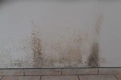 Taches sombres de moisissure sur un mur blanc, signe d'un placo humide.