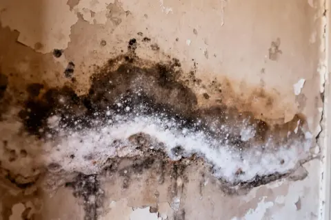 Gros plan sur un mur décrépit, révélant des taches sombres et une efflorescence blanche, signes évidents d'une humidité sur mur persistante.