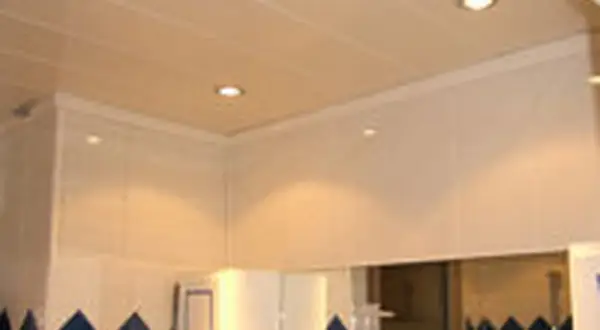 Pose lambris PVC plafond blanc, avec spots intégrés. Finition moderne et propre pour une pièce lumineuse.